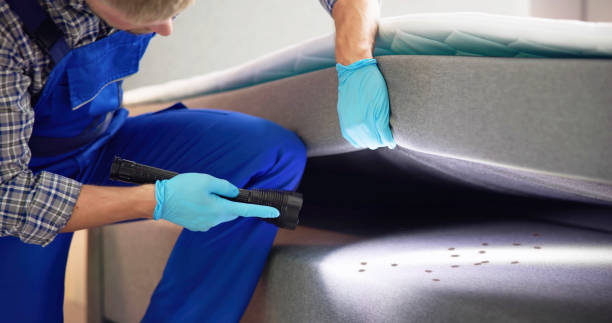 Best Local Pest Control Services  in Lofall, WA